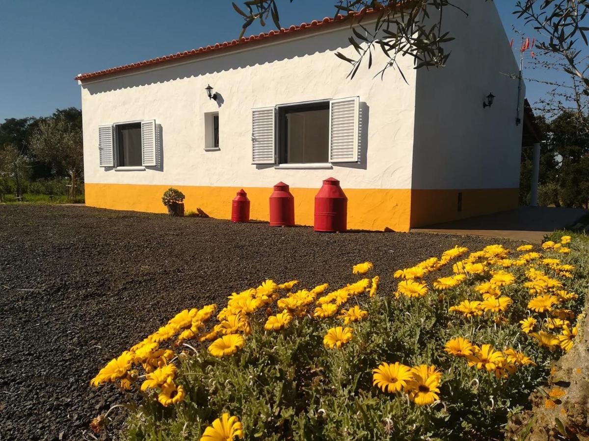 Monte Quinta Verde Ferreira Do Alentejo Ngoại thất bức ảnh