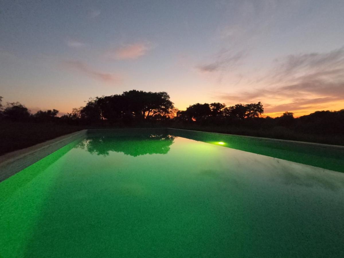 Monte Quinta Verde Ferreira Do Alentejo Ngoại thất bức ảnh