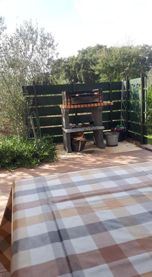 Monte Quinta Verde Ferreira Do Alentejo Ngoại thất bức ảnh