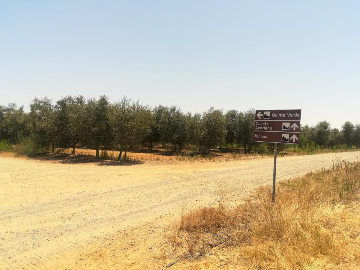 Monte Quinta Verde Ferreira Do Alentejo Ngoại thất bức ảnh
