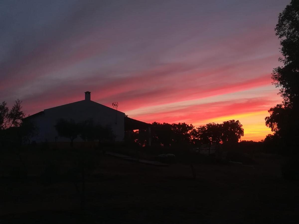 Monte Quinta Verde Ferreira Do Alentejo Ngoại thất bức ảnh