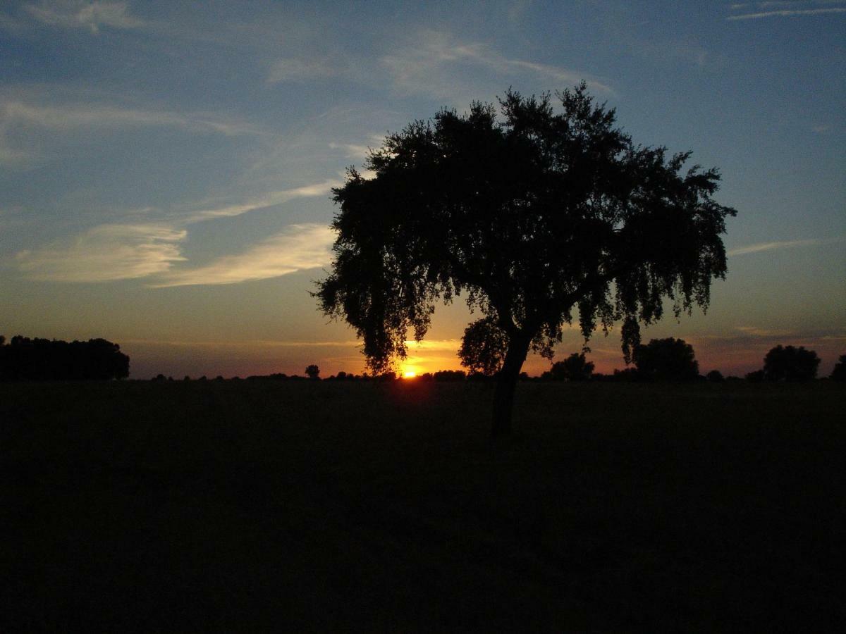 Monte Quinta Verde Ferreira Do Alentejo Ngoại thất bức ảnh